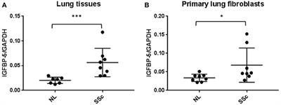 IGFBP-5 Promotes Fibrosis via Increasing Its Own Expression and That of Other Pro-fibrotic Mediators